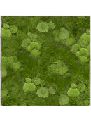 Tableau Nova Frame Antique White-concrete 30% Mousse boule- et 70% mousse plate