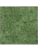 Tableau Nova Frame Natural-concrete 100% Lichen (Vert mousse)