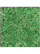 Tableau Nova Frame Natural-concrete 100% Lichen (Herbe Verte)