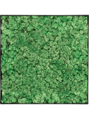Tableau Nova Frame Anthracite-concrete 100% Lichen (Herbe Verte)