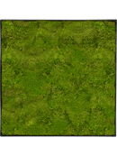 Tableau Nova Frame Anthracite-concrete 100% Mousse Plate