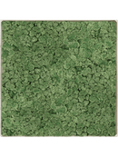 Tableau Nova Frame Antique White-concrete 100% Lichen (Vert mousse)