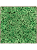 Tableau Nova Frame Antique White-concrete 100% Lichen (Herbe Verte)