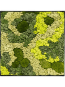 Tableau Nova Frame Anthracite-concrete 30% Mousse boule 70% Lichen (Mix)