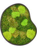 Tableau De Mousse Organic