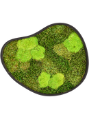 Tableau De Mousse Organic 3