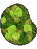 Tableau De Mousse Organic Frame 1