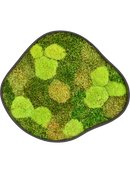 Tableau De Mousse Organic 2