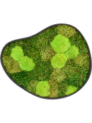 Tableau De Mousse Organic 3