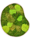 Tableau De Mousse Organic