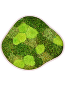Tableau De Mousse Organic