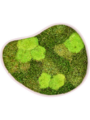 Tableau De Mousse Organic