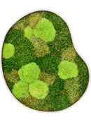 Tableau De Mousse Organic