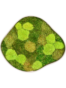 Tableau De Mousse Organic