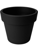 Bambou collé dans pot plastique